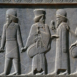 Detail from a processional frieze on East side of the Apadana Palace, Persepolis, Iran, c