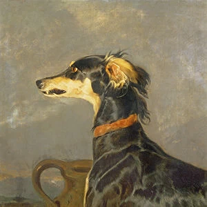 Queen Victorias Favourite Dog, Eos (oil on canvas)