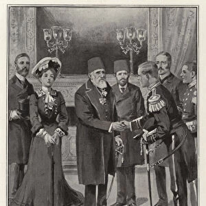 Reception of British Naval Officers by the Sultan at Constantinople (litho)