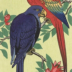 A Red and a Blue Parrot, by Japanese artist Ohara Koson