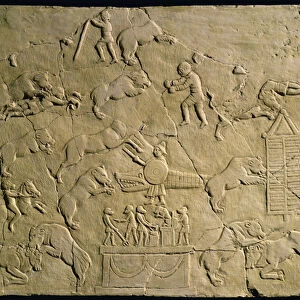 Relief depicting circus games (stone)