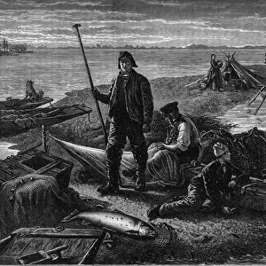 Return of salmon fishing on the banks of the Rhine. Engraving in the journal "