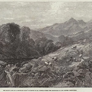 The Rocky Path of a Mountain Burn (engraving)