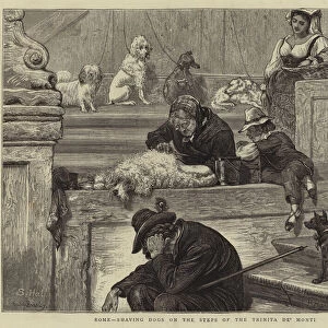 Rome, shaving Dogs on the Steps of the Trinita de Monti (engraving)