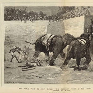 The Royal Visit to India, Baroda, the Elephant Fight in the Arena before the Prince of Wales (engraving)