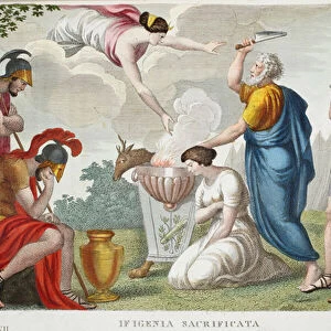 The Sacrifice of Iphigenia or Ifigenia Sacrificata, Book XII