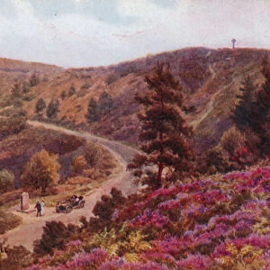 Sailors Stone and Gibbet Hill, Hindhead (colour litho)