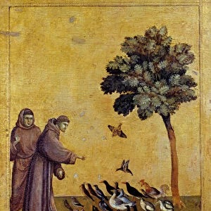 Saint Francois of Assisi preaching birds. Detail of the predelle of St Francis of Assisi
