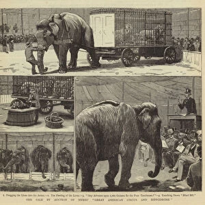 The Sale by Auction of Myers "Great American Circus and Hippodrome"(engraving)