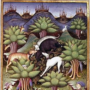 Scene of wild boar hunting Miniature from "Treat falconry
