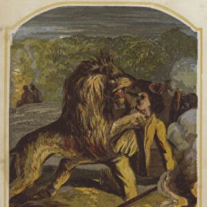 Scottish missionary David Livingstone attacked by a lion in Africa (chromolitho)