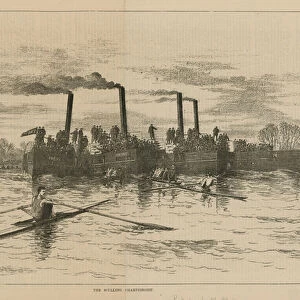 The sculling championship (engraving)