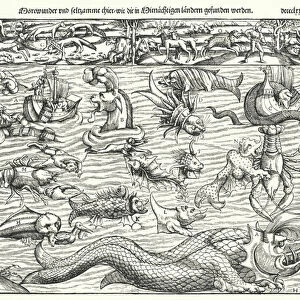 Sea creatures (engraving)