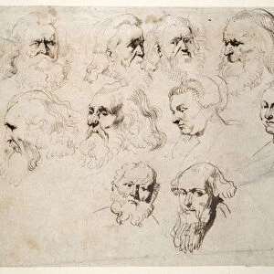 Seven studies of the head of an elderly bearded man, with two others of different men