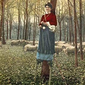 Shepherdess of the Landes on stilts guarding her flock (colour photo)