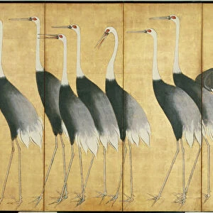 Six-panel screen depicting Cranes, Edo Period (ink, colour, gold & silver on paper)