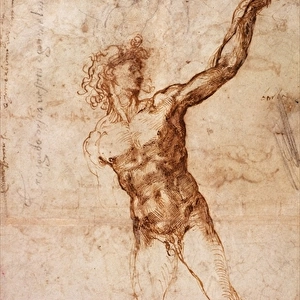 Famous works of Michelangelo Collection: Renaissance art