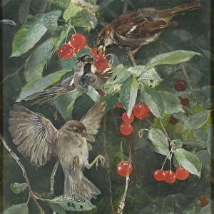 Sparrows in a Cherry Tree, 1885 (oil on panel)