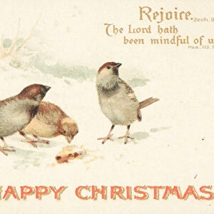 Sparrows in the snow, Christmas Card (chromolitho)