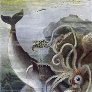 A Sperm Whale Attacking a Giant Squid (colour litho)