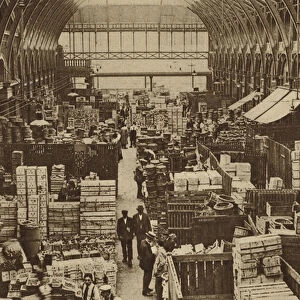 Stalls that display the products of many climes in the fruit depsartment at Covent Garden (b / w photo)