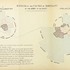 Statistical chart invented by Florence Nightingale to show the predominance of disease as