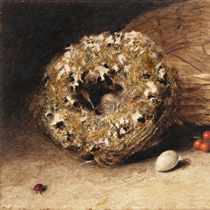 Still-Life with Basket, Nest, Egg, Red Currants and Ladybird