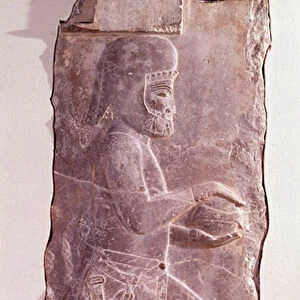 Stone relief representing a Mede servant (people of Iran). Routeenide period