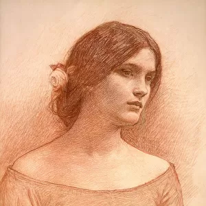 Study for The Lady Clare, c. 1900 (red chalk on paper) (see 55018)
