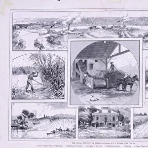 The Sugar Industry of Louisiana, 1883 (litho)