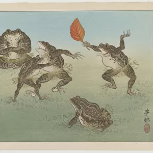 Sumo-wrestling toads, c. 1930 (colour woodblock print)