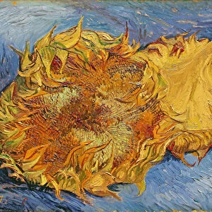 Sunflowers, 1887 (oil on canvas)