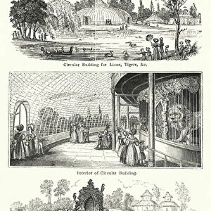 Surrey Zoological Gardens (engraving)