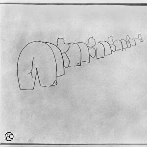 Theory of Elephants, 1896 (pencil on paper) (b / w photo)