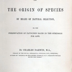 Title Page of The Origin of Species by Charles Darwin, 1859 (letterpress print)