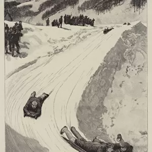 Tobogganing at St Moritz, Engadine, Switzerland (engraving)