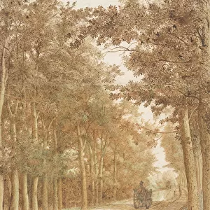 Trail through a forest, c. 1638-42 (pen, ink and watercolour)