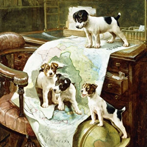Well Travelled Jack Russell Puppies (oil on canvas)
