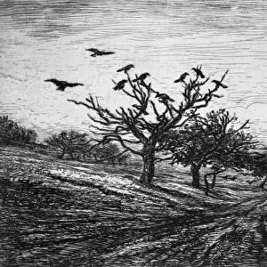 Tree with crows, 1867 (engraving)