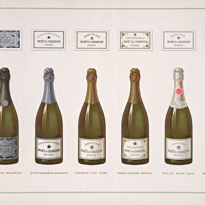 Types of Champagne and Sparkling wine, from La France Vinicole, pub. by Moet & Chandon, Epernay (coloured engraving)