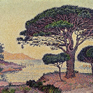 Umbrella Pines at Caroubiers, 1898 (oil on canvas)