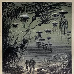 Underwater floor. Illustration by Edouard Riou (1833-1900) for the novel "