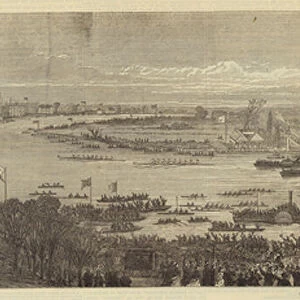 The University Boat-Race, View at Barnes Bridge (engraving)