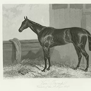 Van Tromp, foaled 1844 (b / w photo)