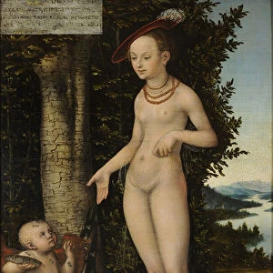 Venus with Cupid the Honey Thief, 1534 (oil on wood)