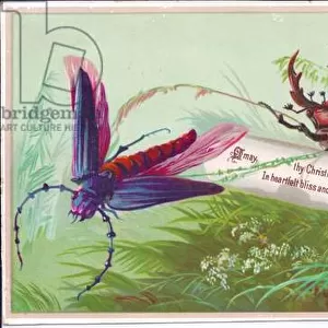 A Victorian Christmas card of an insect, stag beetle and scroll on which is a Christmas