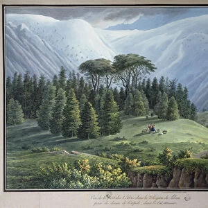 View of the Cedar Forests of Lebanon seen from the Tripoli Road, c