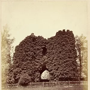 View of a folly in Roundhay Park (albumen print)