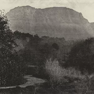 A View of the Old Mountain, from Wynberg (b / w photo)