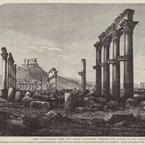 View of Palmyra, from the Grand Colonnade, showing the castle in the distance (engraving)